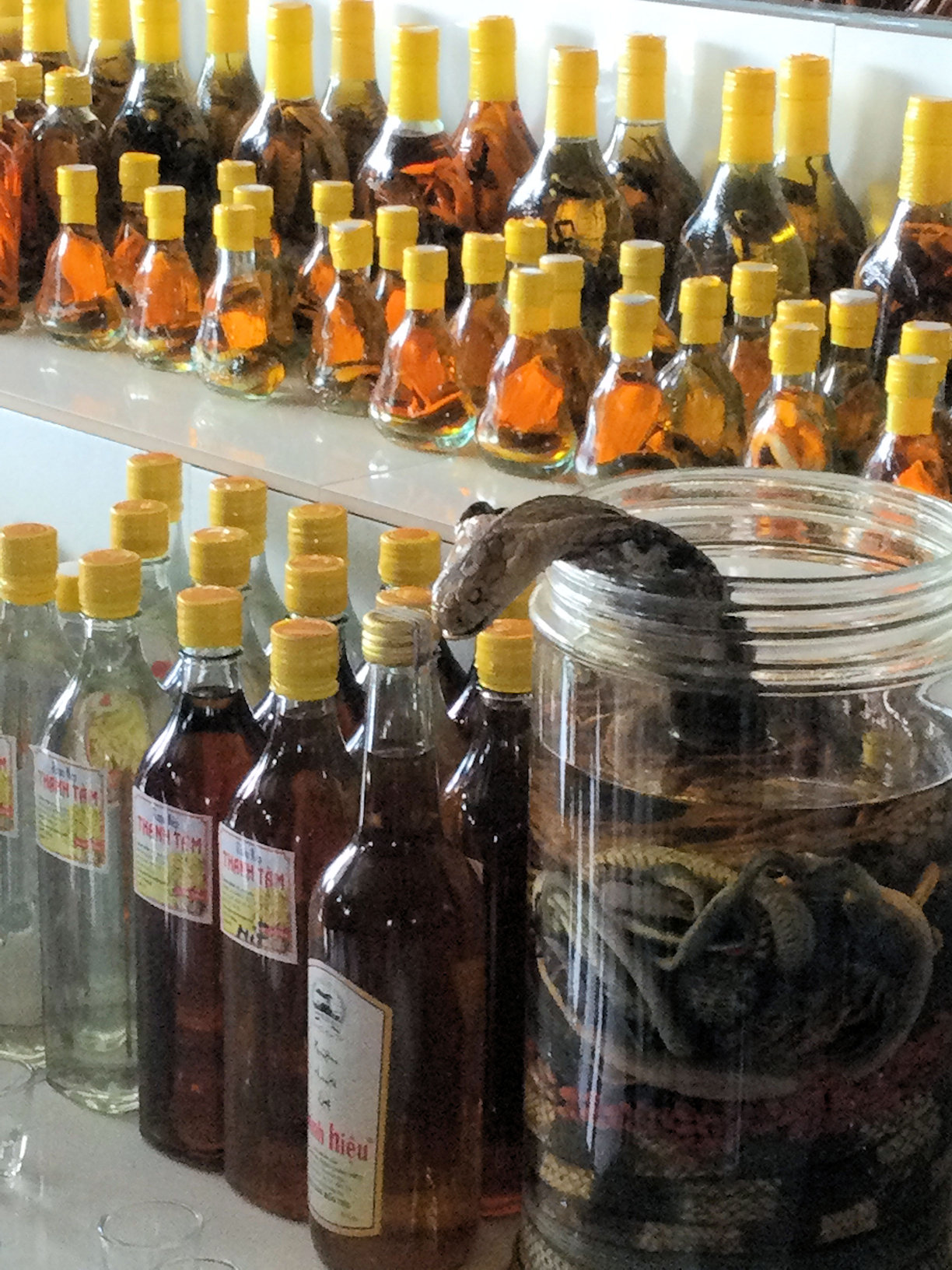 Cobra Flavoured Spirit